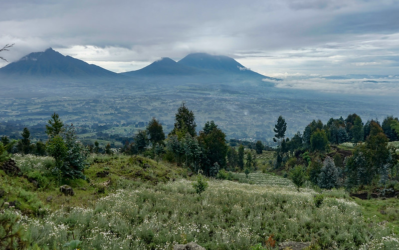 ruanda