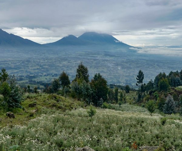 ruanda